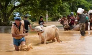Số người chết vì lũ lụt sau bão Yagi ở Myanmar tăng lên 226 Số người chết vì lũ lụt sau bão Yagi ở Myanmar tăng lên 226